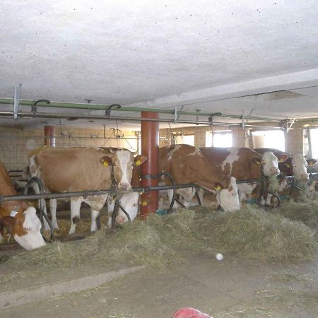 Apartments In Bruck Am Ziller/Zillertal 857 Grosshartberg Ngoại thất bức ảnh